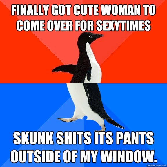 Finally got cute woman to come over for sexytimes Skunk shits its pants outside of my window.  Socially Awesome Awkward Penguin