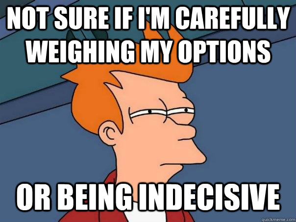 not sure if i'm carefully weighing my options or being indecisive - not sure if i'm carefully weighing my options or being indecisive  Futurama Fry