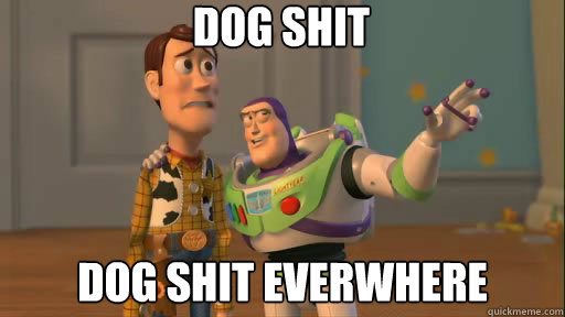 dog shit dog shit everwhere   Everywhere