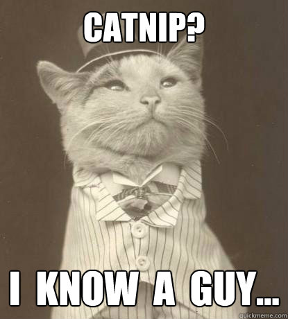 CATNIP? I  KNOW  A  GUY...  Aristocat