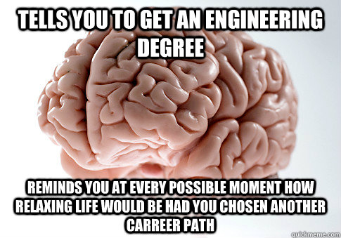 tells you to get an engineering degree reminds you at every possible moment how relaxing life would be had you chosen another carreer path  Scumbag Brain