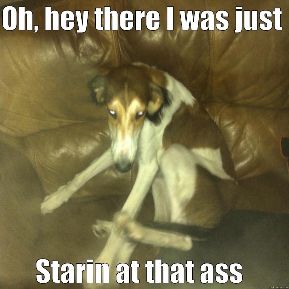 OH, HEY THERE I WAS JUST  STARIN AT THAT ASS  Misc