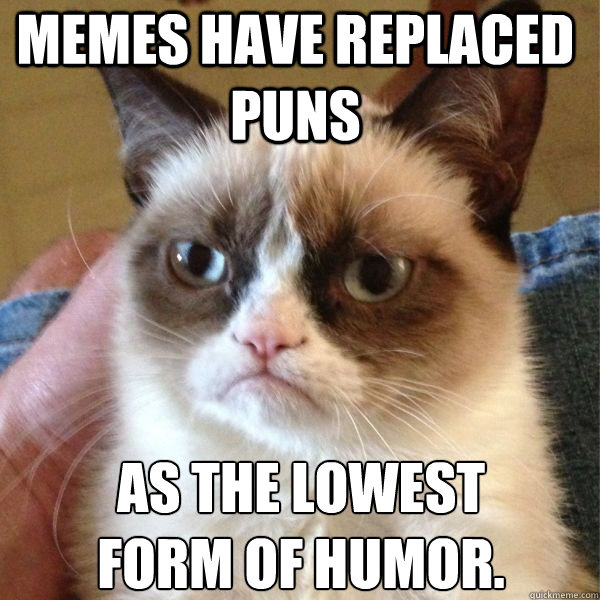 Memes have replaced puns  as the lowest 
form of humor.  
