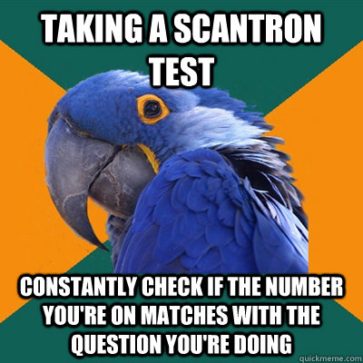 Taking a scantron test constantly check if the number you're on matches with the question you're doing  Paranoid Parrot