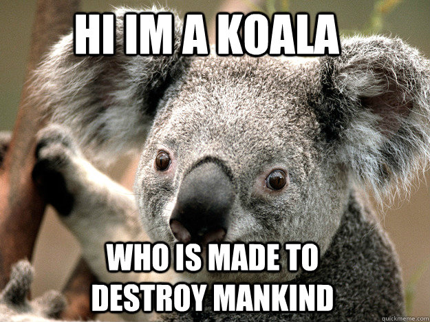 hi im a koala who is made to destroy mankind  evil koala