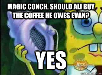 Magic Conch, should Ali buy the coffee he owes Evan? Yes  Magic Conch Shell