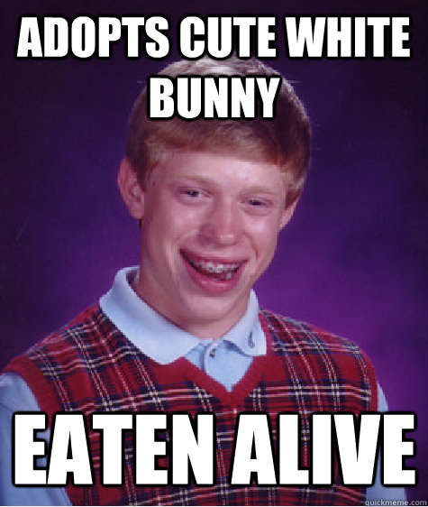Adopts cute white bunny eaten alive - Adopts cute white bunny eaten alive  Bad Luck Brian