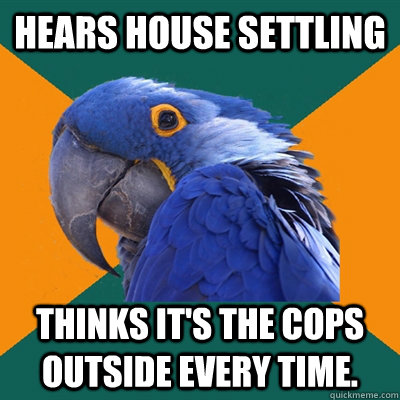 hears house settling thinks it's the cops outside every time.  Paranoid Parrot