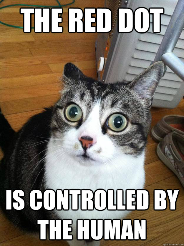 The red dot Is controlled by the human - The red dot Is controlled by the human  Sudden Clarity Cat