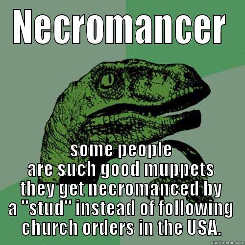 NECROMANCER SOME PEOPLE ARE SUCH GOOD MUPPETS THEY GET NECROMANCED BY A 