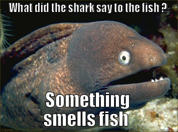 WHAT DID THE SHARK SAY TO THE FISH ? SOMETHING SMELLS FISH  Bad Joke Eel