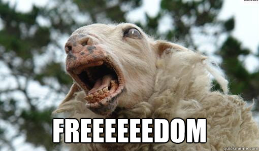  FREEEEEEDOM  Liberator Sheep