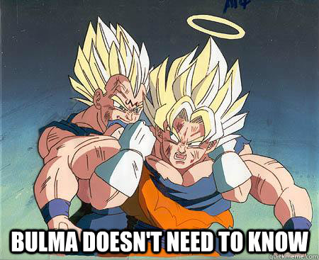  bulma doesn't need to know -  bulma doesn't need to know  Gay Vegeta