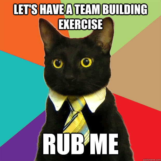 let's have a team building exercise rub me - let's have a team building exercise rub me  Business Cat