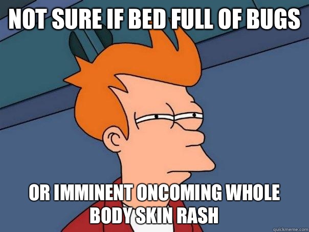 Not sure if bed full of bugs Or imminent oncoming whole body skin rash  Futurama Fry