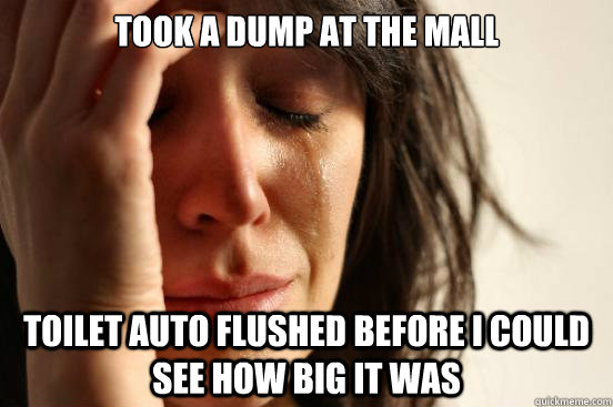 Took A Dump At The Mall Toilet Auto Flushed Before I Could See How Big It Was  First World Problems