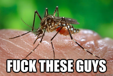  fuck these guys -  fuck these guys  Scumbag Mosquito