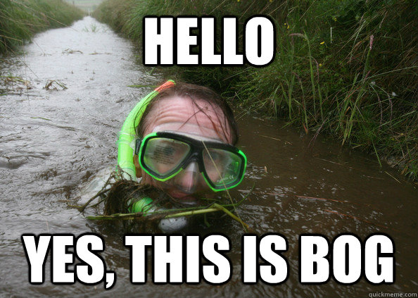 hello yes, this is bog - hello yes, this is bog  Misc