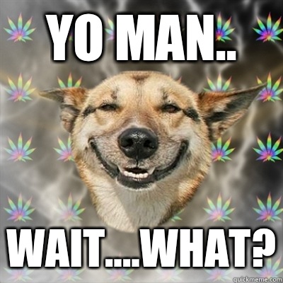 Yo man.. Wait....what?  Stoner Dog