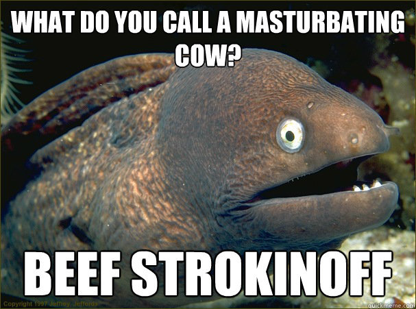 what do you call a masturbating cow? beef strokinoff  Bad Joke Eel