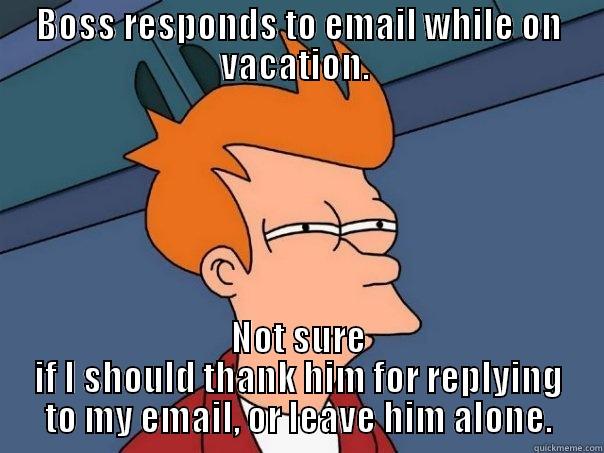 BOSS RESPONDS TO EMAIL WHILE ON VACATION.  NOT SURE IF I SHOULD THANK HIM FOR REPLYING TO MY EMAIL, OR LEAVE HIM ALONE. Futurama Fry