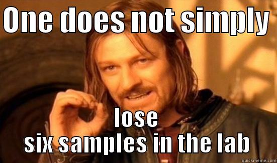 ONE DOES NOT SIMPLY  LOSE SIX SAMPLES IN THE LAB Boromir