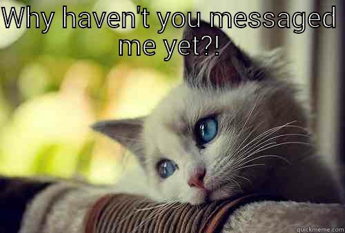 WHY HAVEN'T YOU MESSAGED ME YET?!  First World Problems Cat