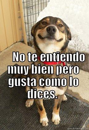                                                                                                                                                                      NO TE ENTIENDO MUY BIEN PERO GUSTA COMO LO DICES.   Good Dog Greg