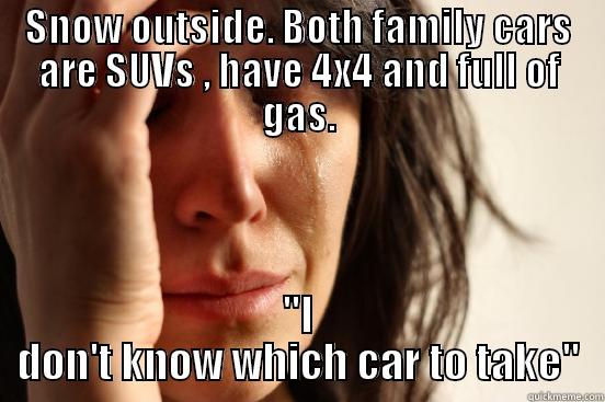 SNOW OUTSIDE. BOTH FAMILY CARS ARE SUVS , HAVE 4X4 AND FULL OF GAS. 