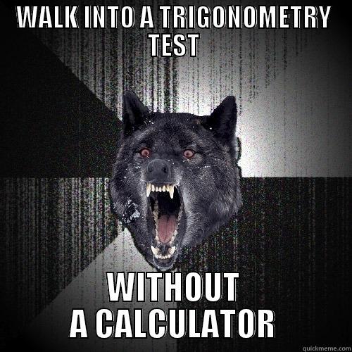 WALK INTO A TRIGONOMETRY TEST WITHOUT A CALCULATOR Insanity Wolf