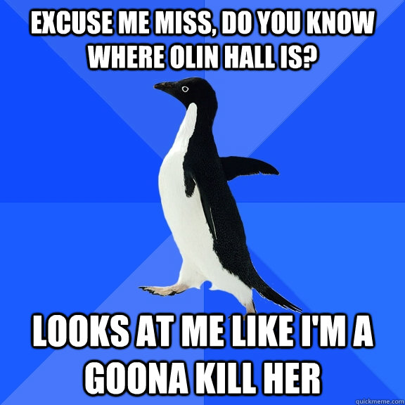 Excuse me miss, Do you know where Olin Hall is? Looks at me like I'm a goona kill her  Socially Awkward Penguin