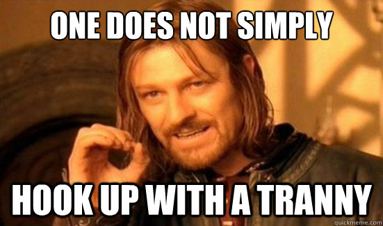 One Does Not Simply hook up with a tranny  Boromir