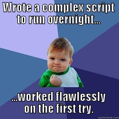 WROTE A COMPLEX SCRIPT TO RUN OVERNIGHT... ...WORKED FLAWLESSLY ON THE FIRST TRY. Success Kid