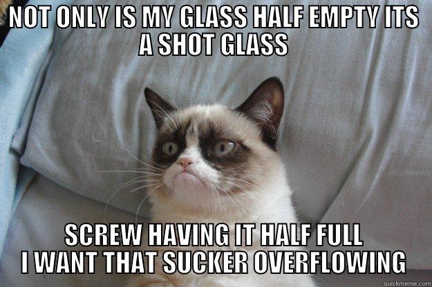 NOT ONLY IS MY GLASS HALF EMPTY ITS A SHOT GLASS SCREW HAVING IT HALF FULL I WANT THAT SUCKER OVERFLOWING Grumpy Cat