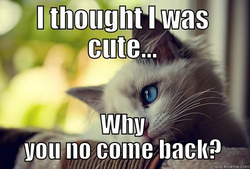I THOUGHT I WAS CUTE... WHY YOU NO COME BACK? First World Problems Cat
