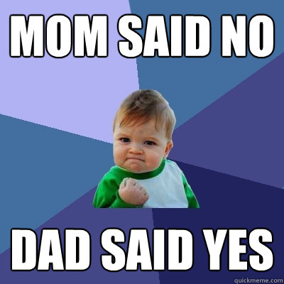 Mom said no Dad said yes - Mom said no Dad said yes  Success Kid