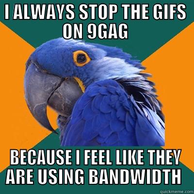I Know its not just me - I ALWAYS STOP THE GIFS ON 9GAG BECAUSE I FEEL LIKE THEY ARE USING BANDWIDTH  Paranoid Parrot