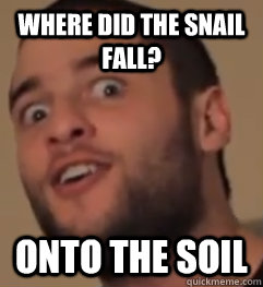WHERE DID THE SNAIL FALL? ONTO THE SOIL  Superwog