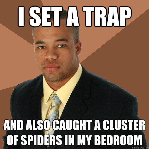 i set a trap and also caught a cluster of spiders in my bedroom  Successful Black Man