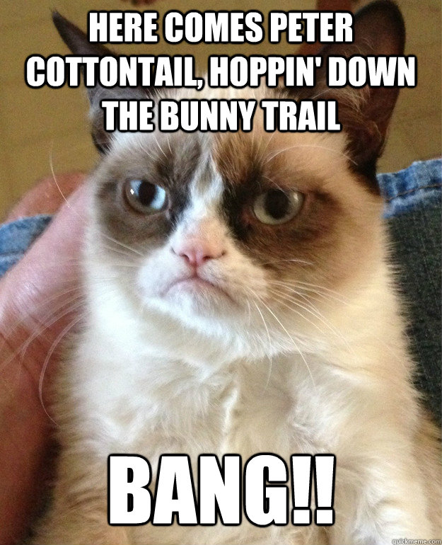 Here comes Peter cottontail, hoppin' down the bunny trail BANG!! - Here comes Peter cottontail, hoppin' down the bunny trail BANG!!  Misc