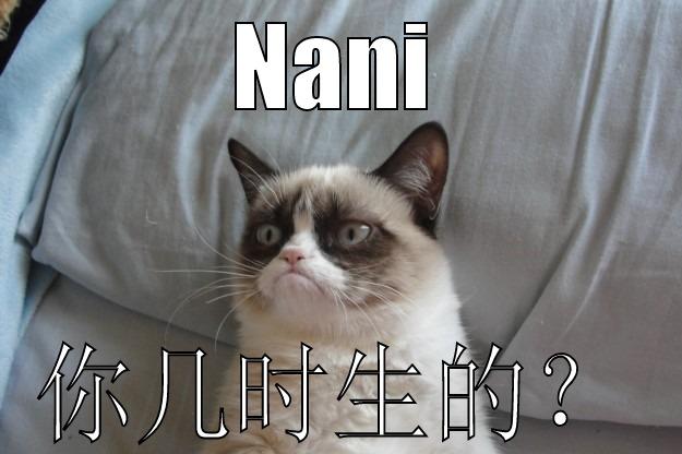 NANI 你几时生的？ Grumpy Cat