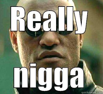 REALLY NIGGA Matrix Morpheus