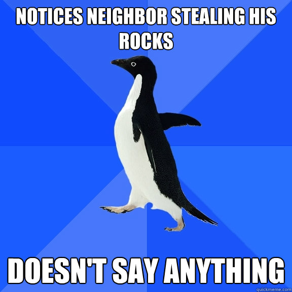 Notices neighbor stealing his rocks Doesn't say anything  Socially Awkward Penguin