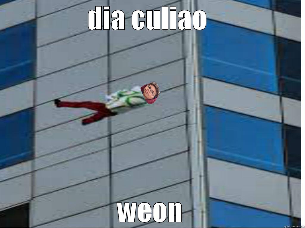 DIA CULIAO  WEON Misc