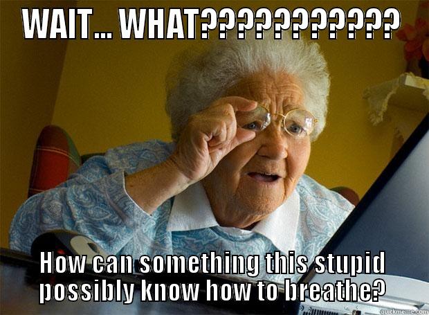 WAIT... WHAT??????????? HOW CAN SOMETHING THIS STUPID POSSIBLY KNOW HOW TO BREATHE? Grandma finds the Internet