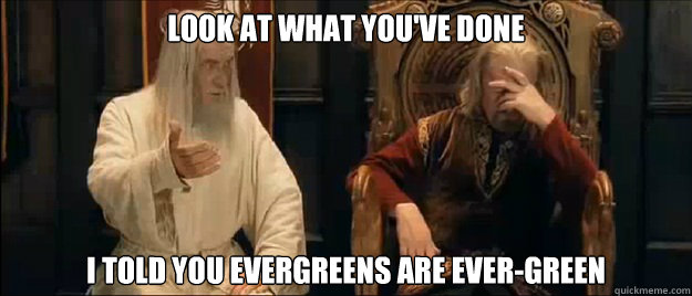 Look at what you've done I told you evergreens are Ever-green  Annoyed Gandalf
