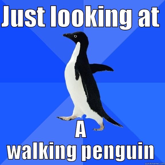 JUST LOOKING AT  A WALKING PENGUIN Socially Awkward Penguin