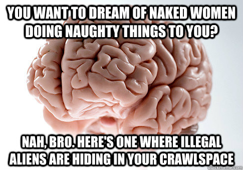 You want to dream of naked women doing naughty things to you? Nah, bro. Here's one where illegal aliens are hiding in your crawlspace  Scumbag Brain