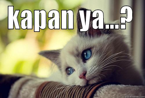 KAPAN YA...?  First World Problems Cat
