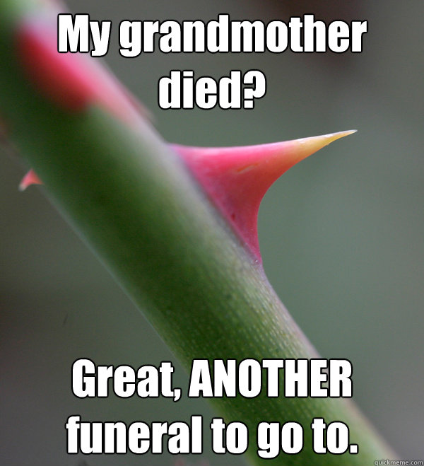 My grandmother died? Great, ANOTHER funeral to go to. - My grandmother died? Great, ANOTHER funeral to go to.  Self Important Prick